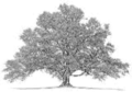 Thumbnail for version as of 09:26, 27 February 2017