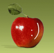 Logo of VSV