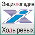 Thumbnail for version as of 22:23, 2 October 2014