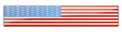 Logo of 2020 America Wiki