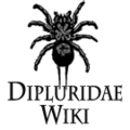 Thumbnail for version as of 12:46, 27 January 2013