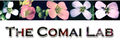 Thumbnail for version as of 09:49, 29 January 2013