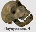 Thumbnail for version as of 00:50, 29 January 2014
