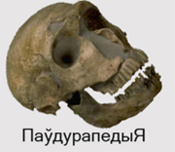 Logo of Паўдурапедыя